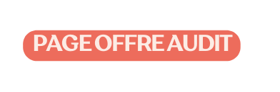 PAGE OFFRE AUDIT