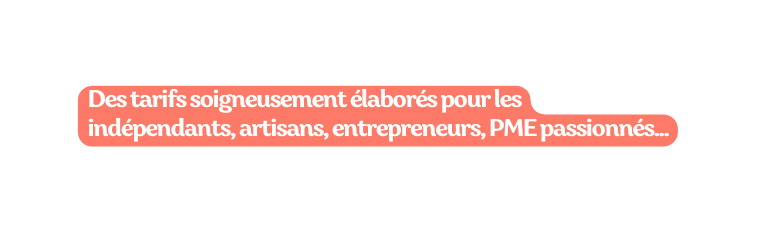 Des tarifs soigneusement élaborés pour les indépendants artisans entrepreneurs PME passionnés