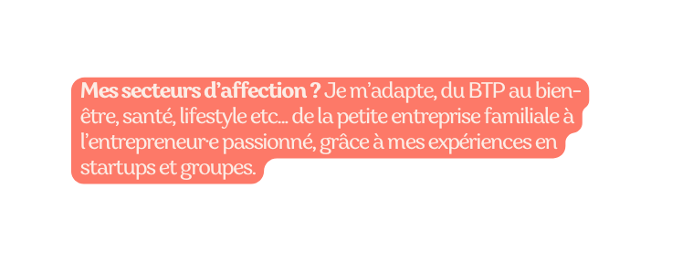 Mes secteurs d affection Je m adapte du BTP au bien être santé lifestyle etc de la petite entreprise familiale à l entrepreneur e passionné grâce à mes expériences en startups et groupes
