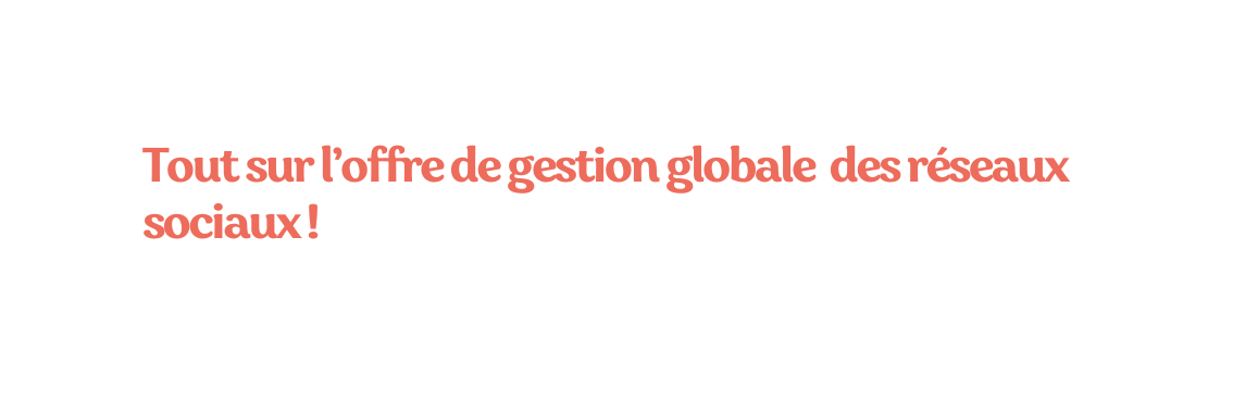 Tout sur l offre de gestion globale des réseaux sociaux