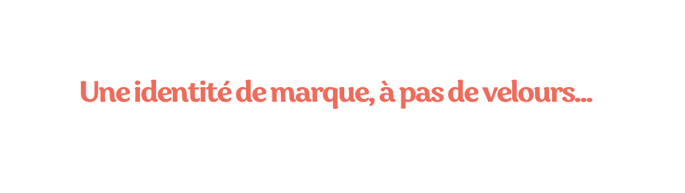 Une identité de marque à pas de velours
