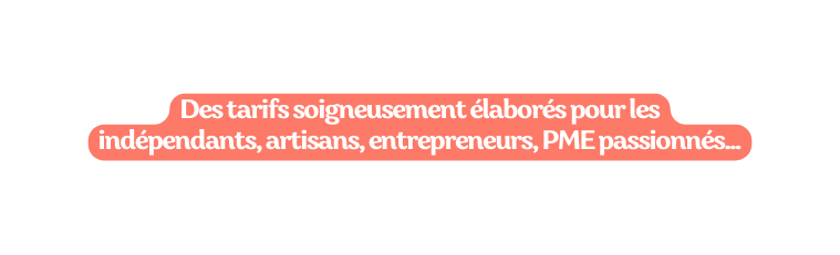 Des tarifs soigneusement élaborés pour les indépendants artisans entrepreneurs PME passionnés